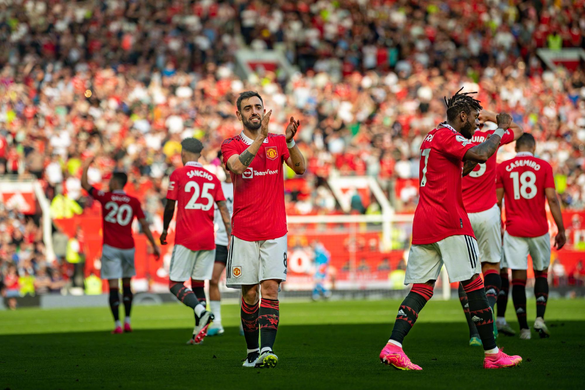 仅需要适应 仅需要适应